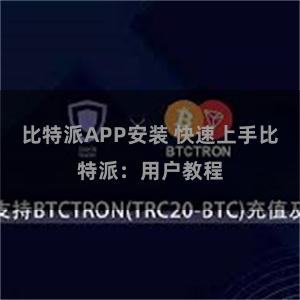 比特派APP安装 快速上手比特派：用户教程