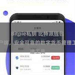Bitpie私钥 比特派钱包客户端，安全可靠的数字货币管理工具