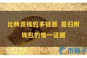 比特派钱包多链版 是归附钱包的惟一证据