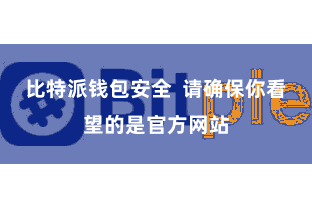 比特派钱包安全  请确保你看望的是官方网站