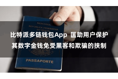 比特派多链钱包App  匡助用户保护其数字金钱免受黑客和欺骗的挟制