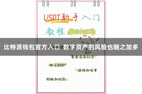比特派钱包官方入口  数字资产的风险也随之加多