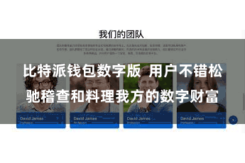 比特派钱包数字版  用户不错松驰稽查和料理我方的数字财富